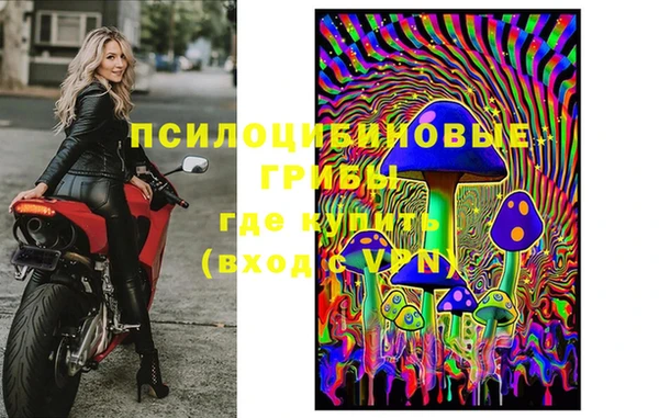 герыч Алексин