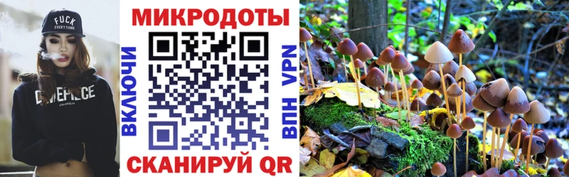 сайты даркнета как зайти  Бодайбо  Галлюциногенные грибы Psilocybine cubensis  наркошоп 
